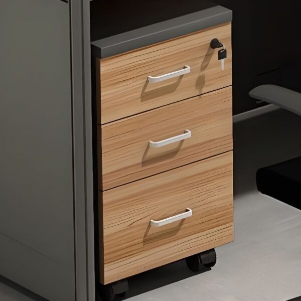2-door filing wooden cabinet, 1.4m executive office desk, bliss executive office seat, adjustable table, 6-way workstation, headrest office seat, 9-lockers filing cabinet, 2.4m boardroom table