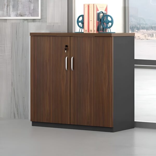 1.2m executive desk, orthopedic reclining seat, 2-door wooden cabinet, 4-seater round conference table, tosca visitors seat, 4-way workstation, 15-locker filing cabinet, 5-seater waiting sofa,