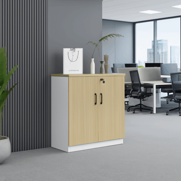 1.2m executive desk, orthopedic reclining seat, 2-door wooden cabinet, 4-seater round conference table, tosca visitors seat, 4-way workstation, 15-locker filing cabinet, 5-seater waiting sofa,